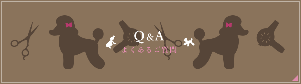 Q&A よくあるご質問